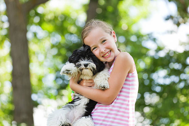 how long do Havanese dogs live
